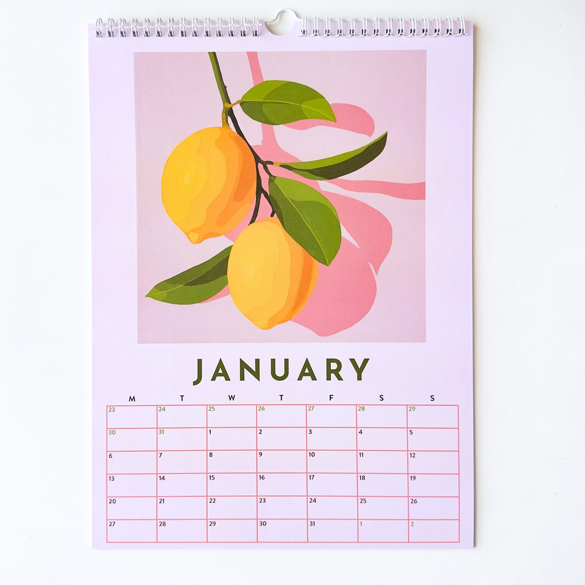 colorful stationery art calendar for your walls based on original still life vibrant, bright and fresh oil paintings by australian emerging artist yani lenehan