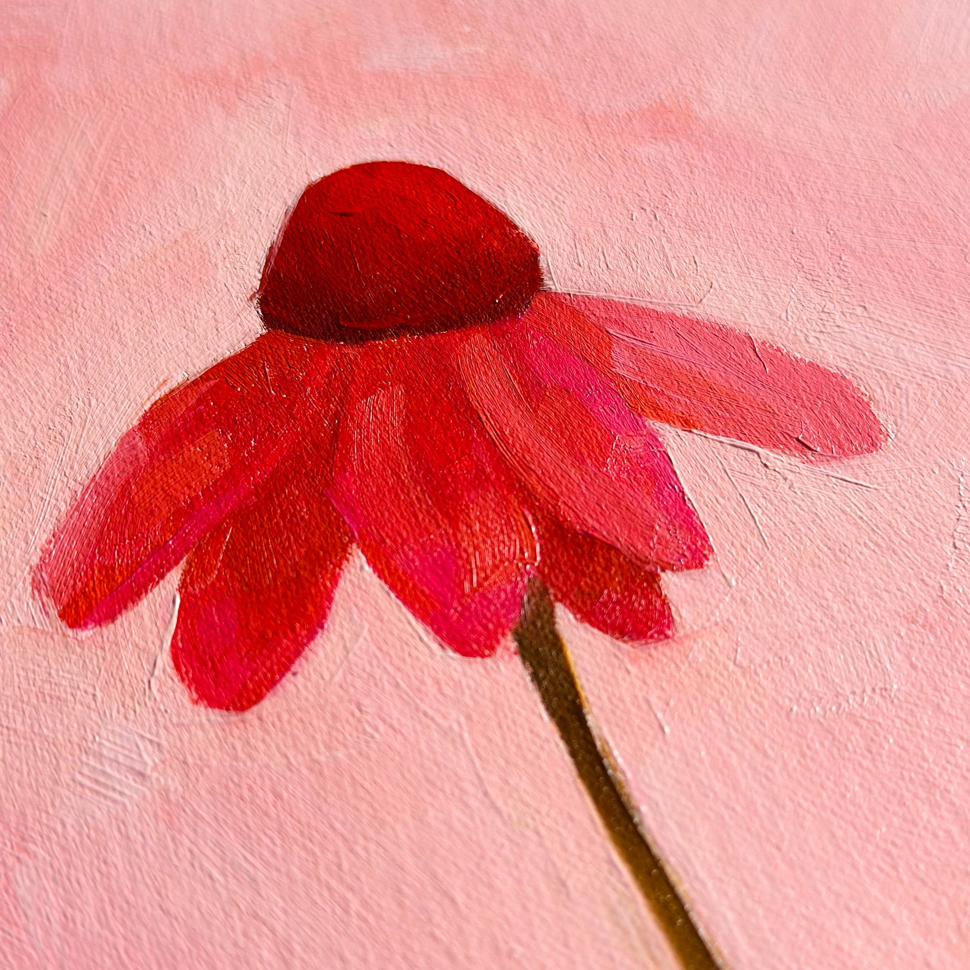 original oil painting of an echinacea flower with pink petals in a textured soft pink background