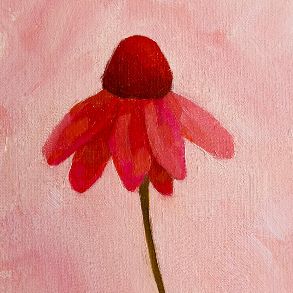 original oil painting of an echinacea flower with pink petals in a textured soft pink background