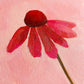 original oil painting of an echinacea flower with pink petals in a textured soft pink background