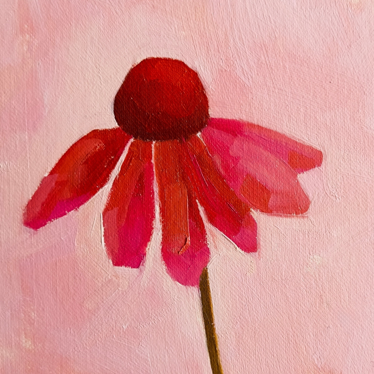 original oil painting of an echinacea flower with pink petals in a textured soft pink background