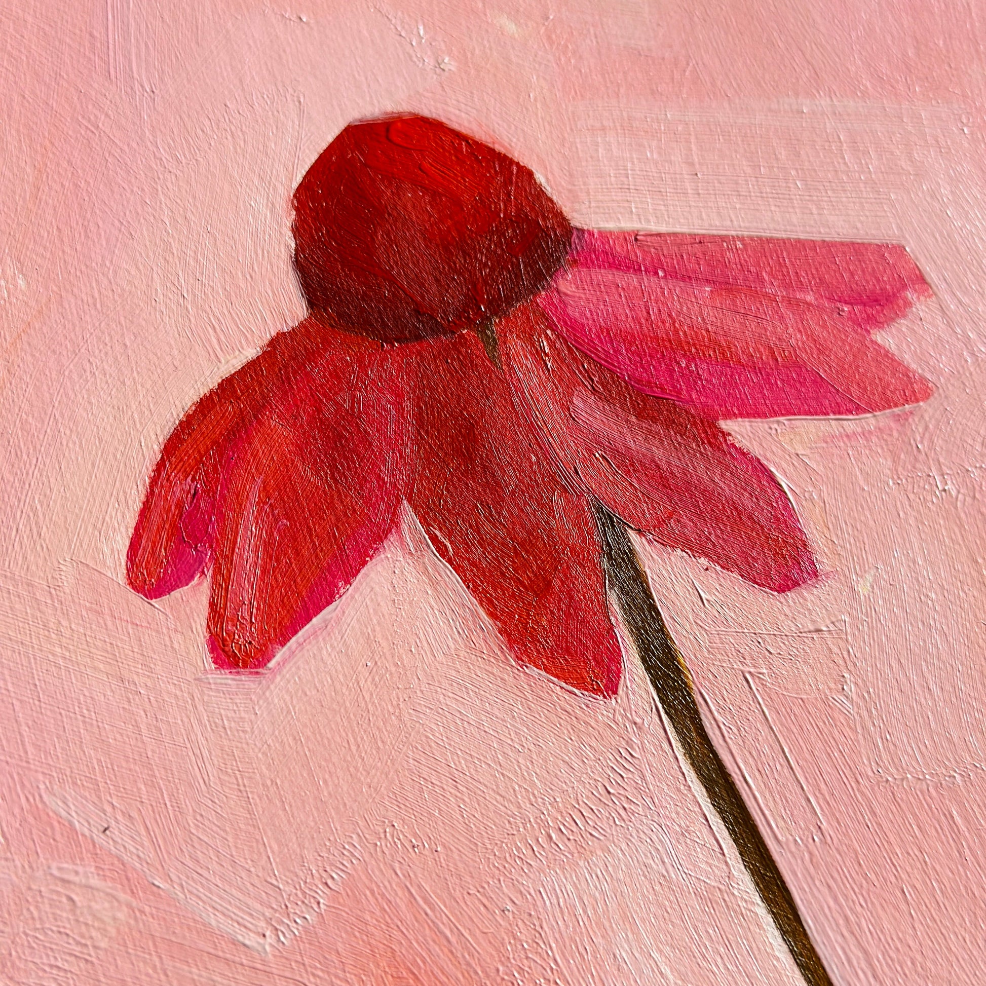 original oil painting of an echinacea flower with pink petals in a textured soft pink background