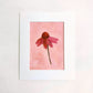 original oil painting of an echinacea flower with pink petals in a textured soft pink background