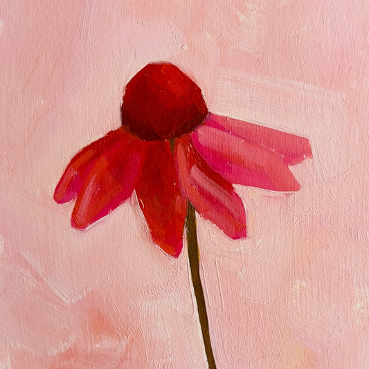 original oil painting of an echinacea flower with pink petals in a textured soft pink background