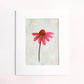 original oil painting of an echinacea flower with pink petals in a textured blue green background