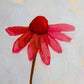 original oil painting of an echinacea flower with pink petals in a textured blue green background