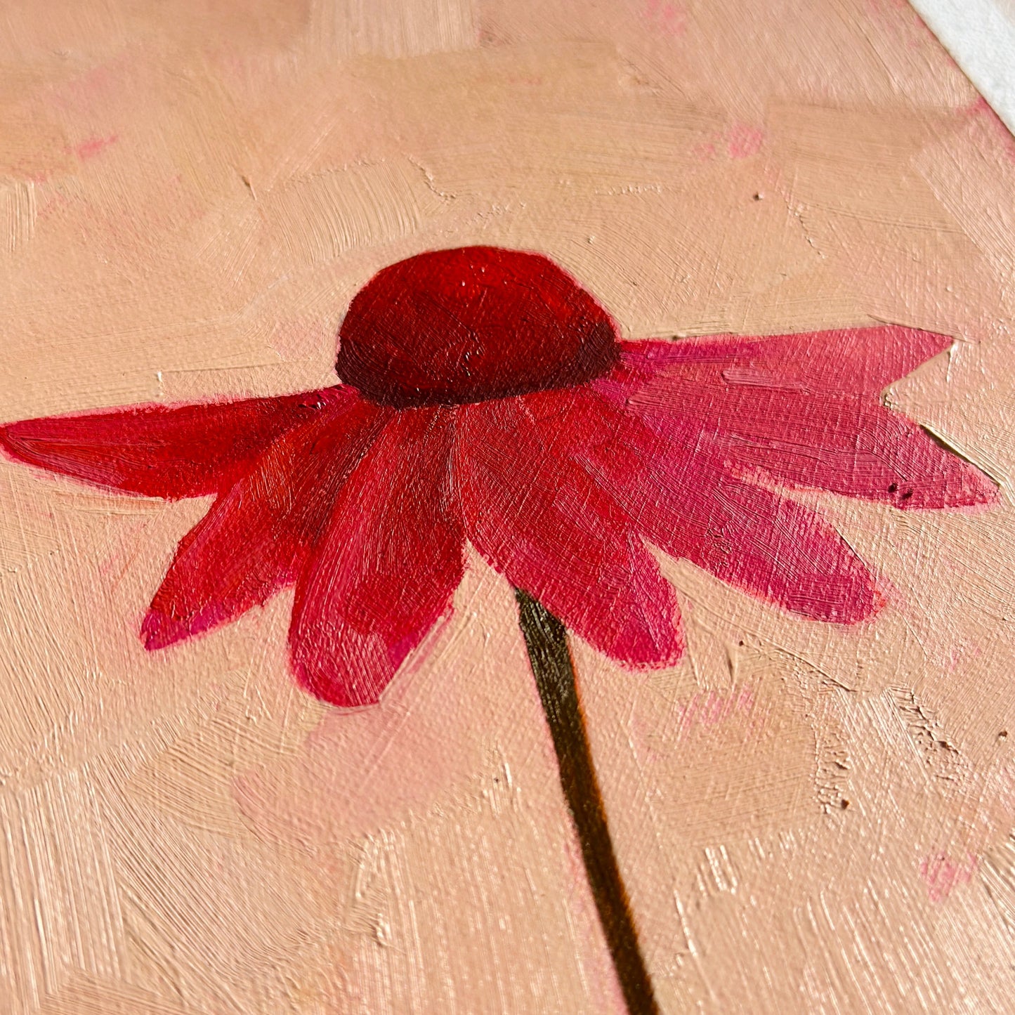 original oil painting of an echinacea flower with pink petals in a textured peachy background