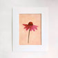 original oil painting of an echinacea flower with pink petals in a textured peachy background