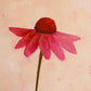 original oil painting of an echinacea flower with pink petals in a textured peachy background