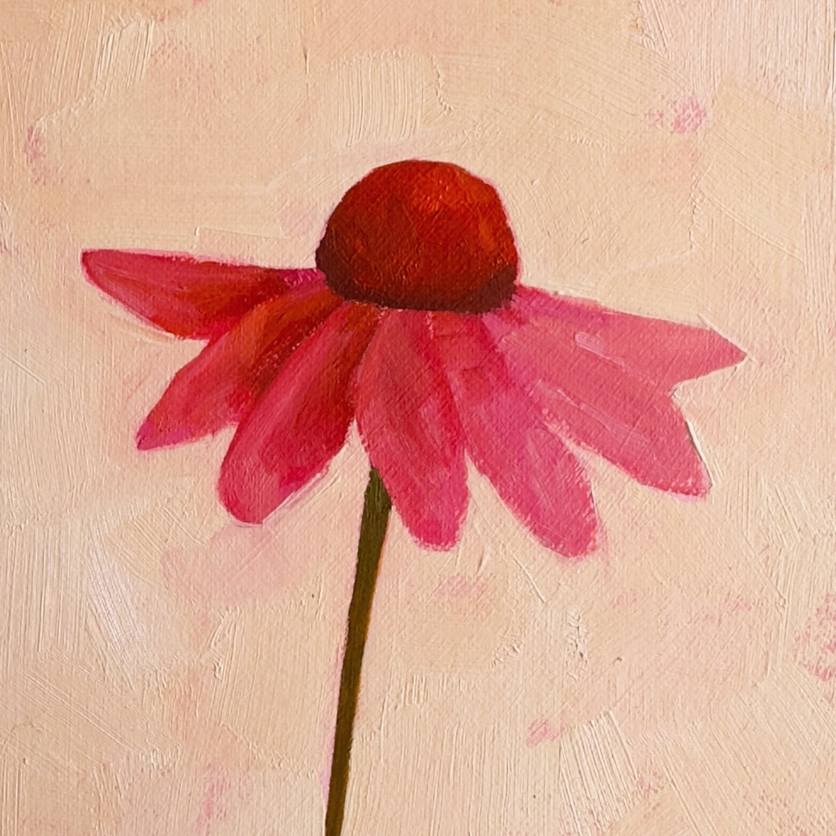 original oil painting of an echinacea flower with pink petals in a textured peachy background