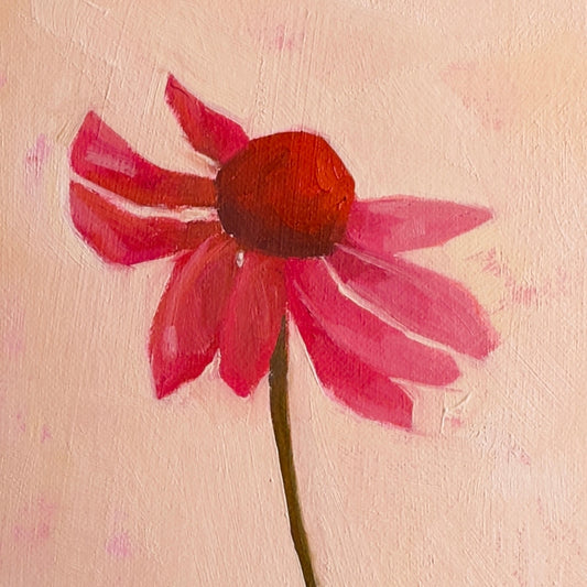 original oil painting of an echinacea flower with pink petals in a textured peachy background