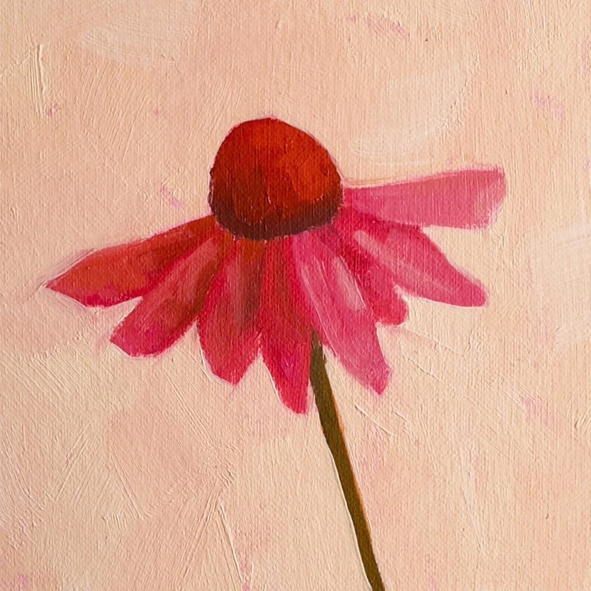 original oil painting of an echinacea flower with pink petals in a textured peachy background