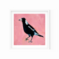 fine art paper print of a magpie on a textured bubble gum pink background